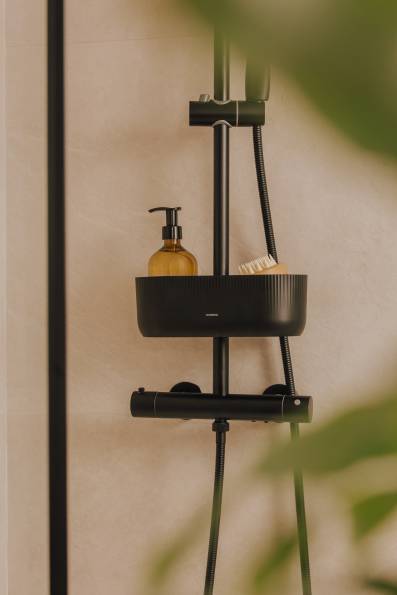Shower rail soap dish